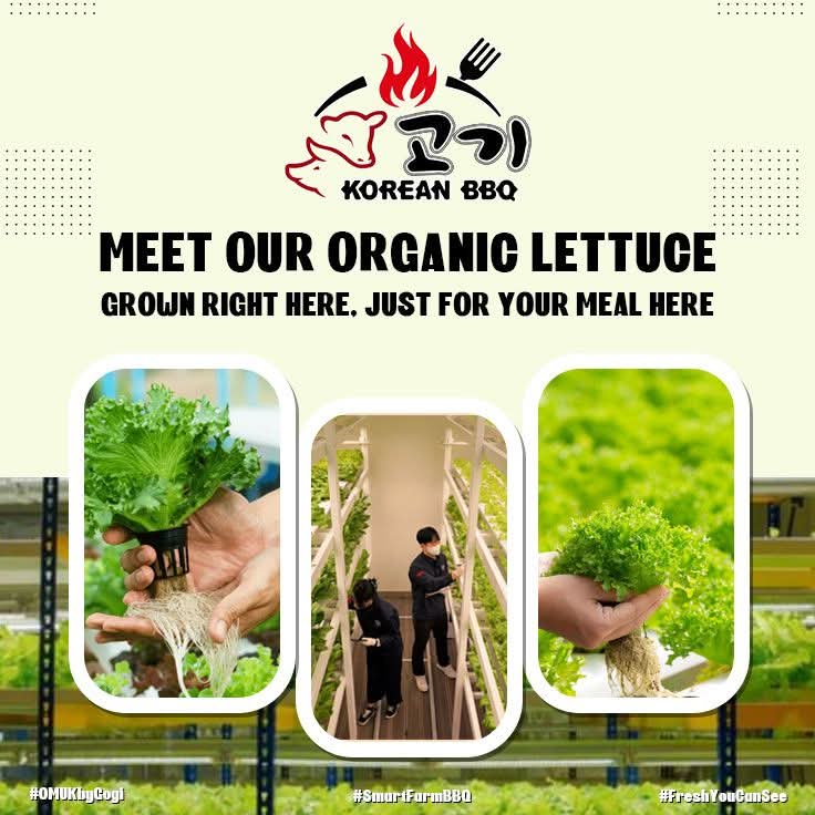 viber image 2025 12 26 10 42 53 297